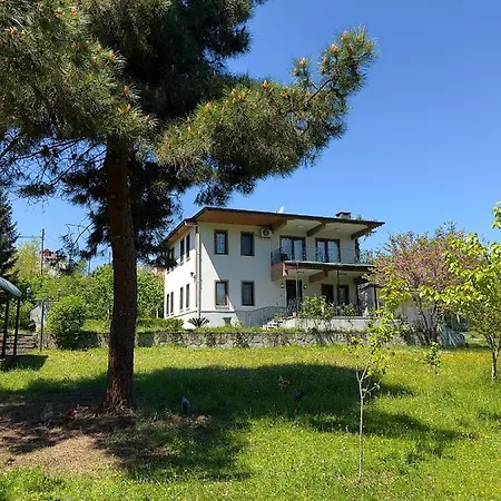Villa L Trabzon