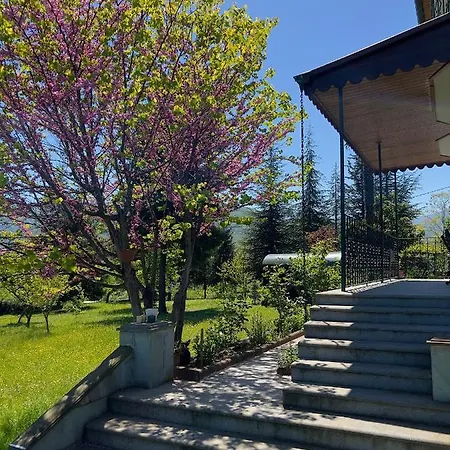 Villa L *
